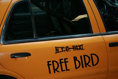 Free Bird Free Bird